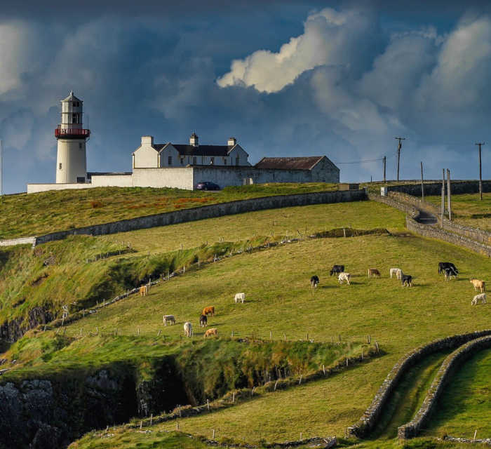 Irlandia