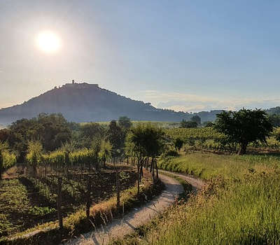 Motovun